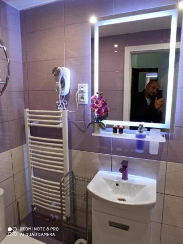 a man taking a picture of a bathroom with a sink at Penzion U Bernardýna in Tachov