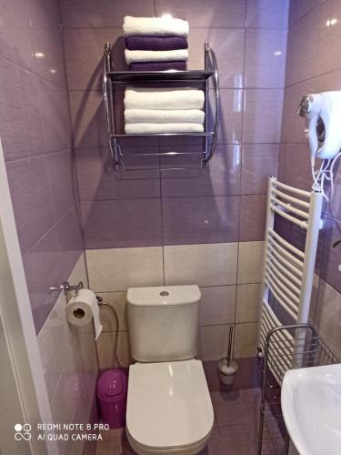 a bathroom with a toilet and a sink and towels at Penzion U Bernardýna in Tachov