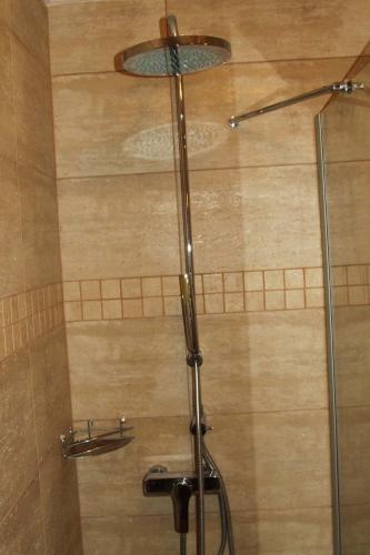 a shower with a glass door in a bathroom at VILLA BARRACA in Dunapataj