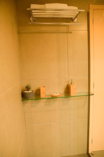 a glass shelf in a bathroom with a plant on it at TAS D VIAJE Suites - Hostel Boutique in Punta del Este