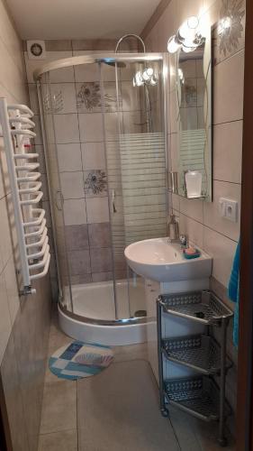 a bathroom with a shower and a sink at Agroturystyka Pokoje u Zosi in Odrowąż