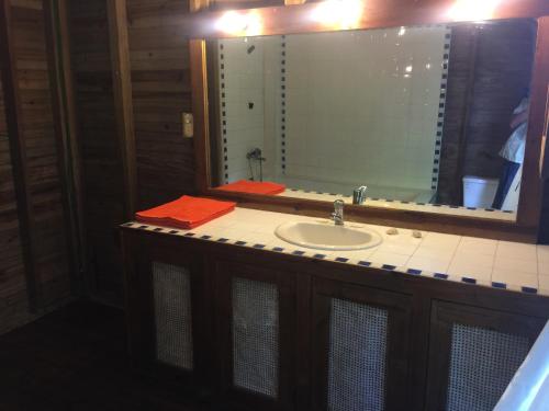 a bathroom with a sink and a mirror at Roatan Bed & Breakfast Apartments in West End