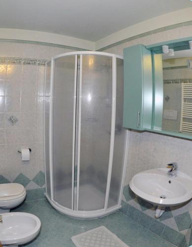 a shower in a bathroom with a toilet and a sink at Casa Fior del Soreie in Pozza di Fassa