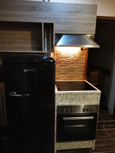 Dapur atau dapur kecil di Apartments Artic