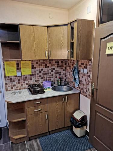 Dapur atau dapur kecil di Apartments Artic