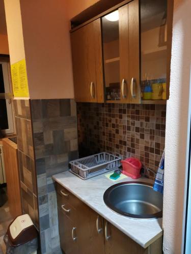 Dapur atau dapur kecil di Apartments Artic