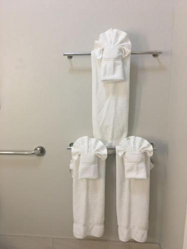 a group of towels hanging on a towel rack in a bathroom at Holiday Inn Express & Suites - Brenham South, an IHG Hotel in Brenham