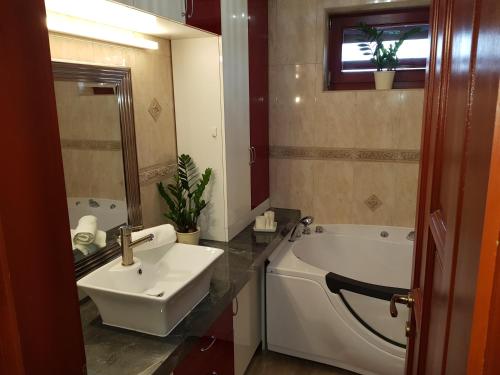 a bathroom with a sink and a bath tub at Barackos Wellness Villa Fót in Fót