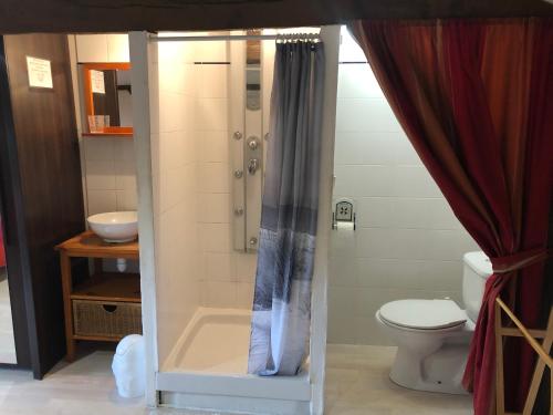 a bathroom with a shower with a toilet and a sink at Gîte Proche du Bassin d'Arcachon in Mios