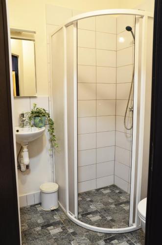 a bathroom with a shower and a sink at Anna's guesthouse in Rīga