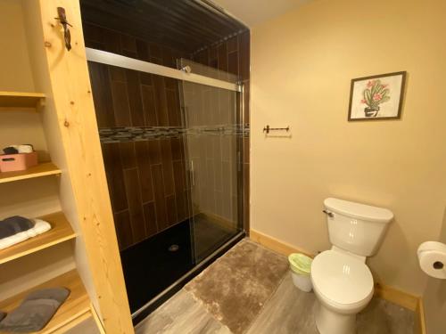 a bathroom with a shower and a toilet at Pine Creek Cabins & Camping Resort in South Bloomingville