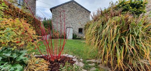 a garden with tall plants in front of a church at O Près de la Lienne, maison de campagne de charme, accord parfait entre confort et authenticité in Lierneux