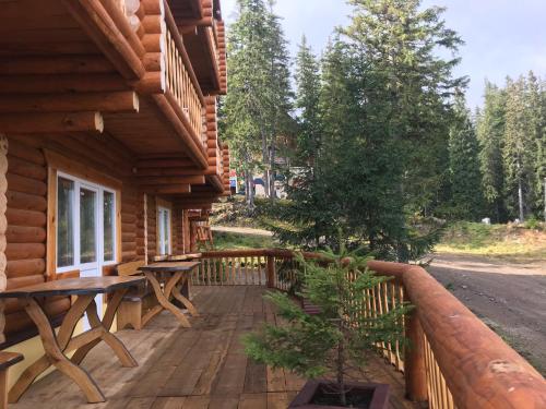 a porch of a log cabin with a picnic bench at Alpin Eco Chalet & Wellness in Dragobrat