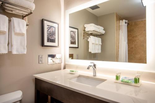 Holiday Inn Valdosta Conference Center, an IHG Hotel في فلدوستا: حمام مع حوض ومرآة