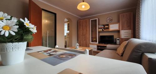 Kuchyň nebo kuchyňský kout v ubytování Apartmán u Babičky Ždiar