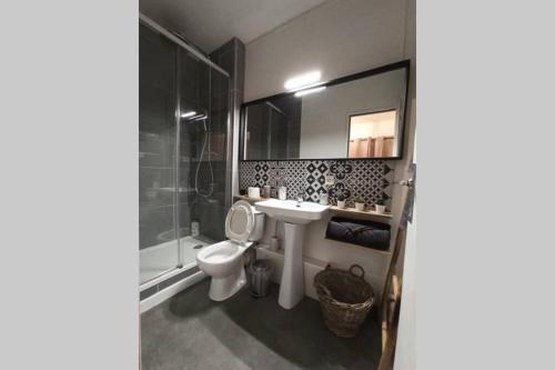 a bathroom with a toilet and a sink and a shower at Un petit paradis pour se détendre et se ressourcer in Montrichard