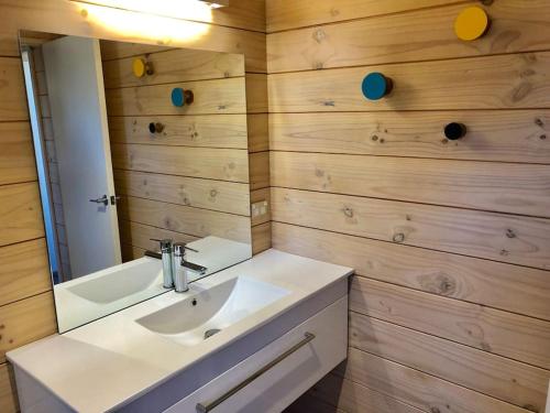a bathroom with a white sink and a mirror at Modern Kowhai Cottage in Wanaka
