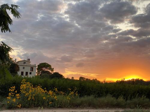 a house in a field with the sunset in the background at Hotel Rural Mas de l'Illa in Tivissa