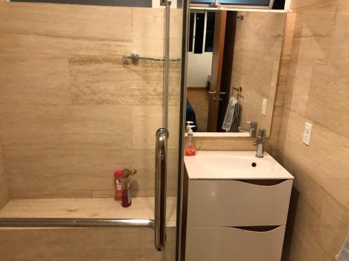 a bathroom with a shower with a sink and a mirror at Caravansaro Vazquez de Mella 347 Polanco in Mexico City