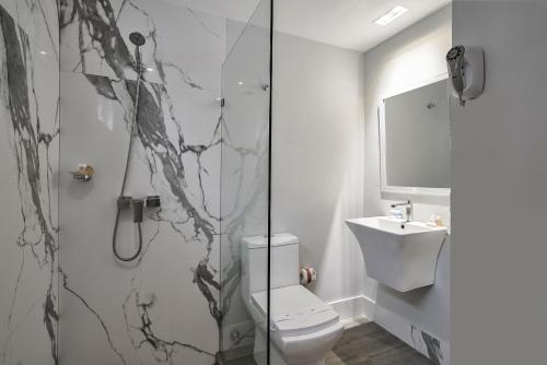 a bathroom with a shower and a toilet and a sink at Hotel Riazor in Santo Domingo