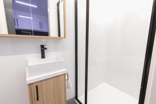 a bathroom with a sink and a mirror at All Seasons Houseboats in Mildura