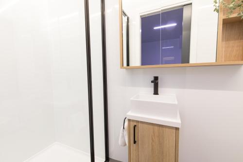 a bathroom with a sink and a mirror at All Seasons Houseboats in Mildura