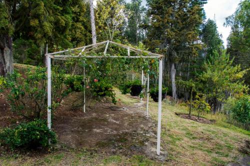 a greenhouse in a garden with roses at Villa Patty in Tibasosa