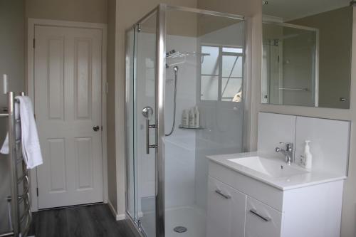 a bathroom with a shower and a sink and a toilet at Haven On Carroll in Palmerston North