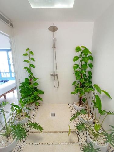 a room with a bunch of potted plants at The B Resort in Kampot