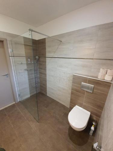 a bathroom with a toilet and a glass shower at Bungalov v Krásné Lípě in Krásná Lípa