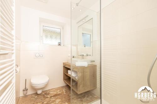 a bathroom with a toilet and a glass shower at HORBERG Appartements in Schwendau
