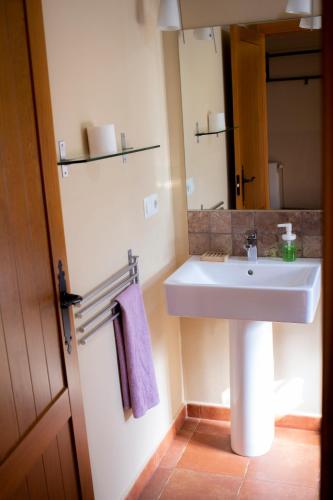a bathroom with a white sink and a mirror at Alojamiento Rural Camino Beturia in Cabeza la Vaca