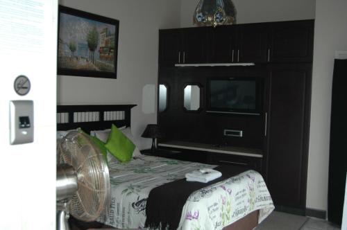a bedroom with a bed with a fan and a tv at Bon A Vie Self-catering and b&b Gonubie Full Solar Power, no load shedding! in Gonubie
