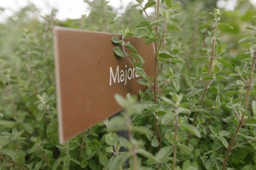 a sign that says meloni in a bush at Ferienwohnung Wies Wieserhof in Aldino