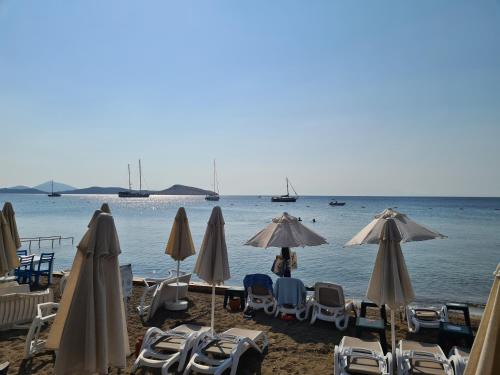 Φυσικό τοπίο κοντά σε αυτό το ξενοδοχείο