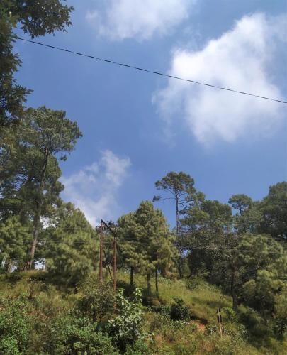 a grassy hill with trees and a power line at Maavaa Dreamland in Lansdowne