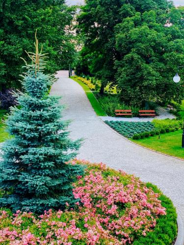 a christmas tree in the middle of a park at Dwór Karwacz in Przasnysz