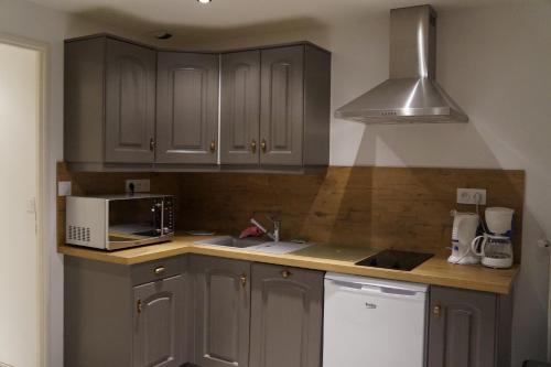 La cuisine est équipée de placards gris, d'un évier et d'un four micro-ondes. dans l'établissement VAR50 - Studio 4 Pers centre des Carroz, aux Carroz d'Arâches