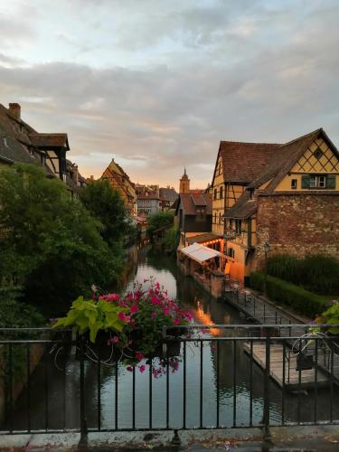 a view of a river with flowers on a bridge at Petite Venise in Colmar