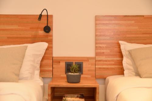 a bedroom with two beds and a plant on a table at TAS D VIAJE Suites - Hostel Boutique in Punta del Este