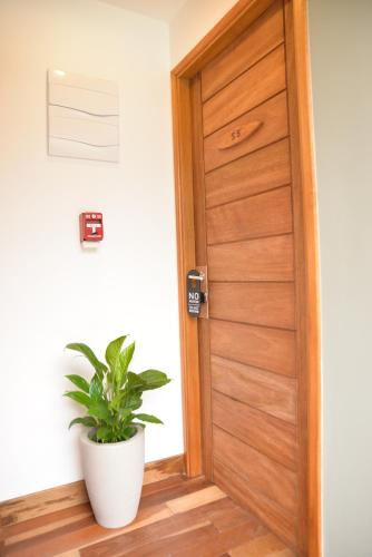 a wooden door with a plant next to it at TAS D VIAJE Suites - Hostel Boutique in Punta del Este