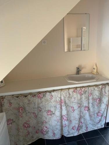 a bathroom with a sink and a mirror at LE CAP in Erquy