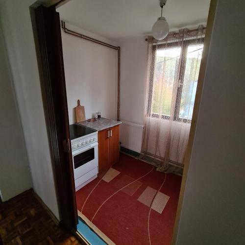 Η κουζίνα ή μικρή κουζίνα στο Apartmani Sunčev breg Vlasinsko jezero