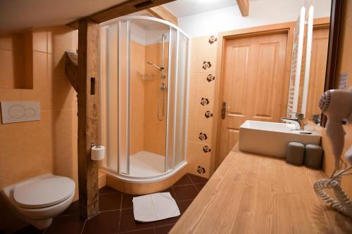 ハルラホフにあるペンション レナタのバスルーム(シャワー、トイレ、シンク付)