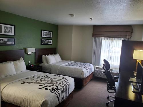 a hotel room with two beds and a window at Sleep Inn Horn Lake-Southaven in Horn Lake