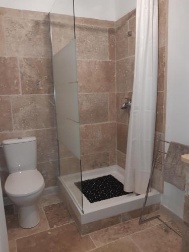 ein Badezimmer mit Dusche und Toilette in der Unterkunft Le mas gnolia in Saint-Jean-du-Gard
