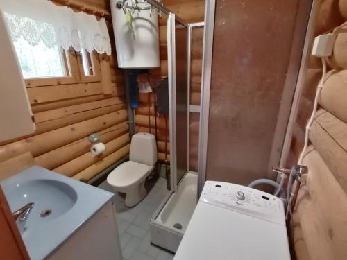 un bagno con lavandino, WC e doccia di Ainola Cottage ad Alapitkä