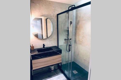 une salle de bain avec un lavabo et une douche avec un miroir dans l'établissement Nid Douillet - BEL APPARTEMENT avec GARAGE, à Grenoble