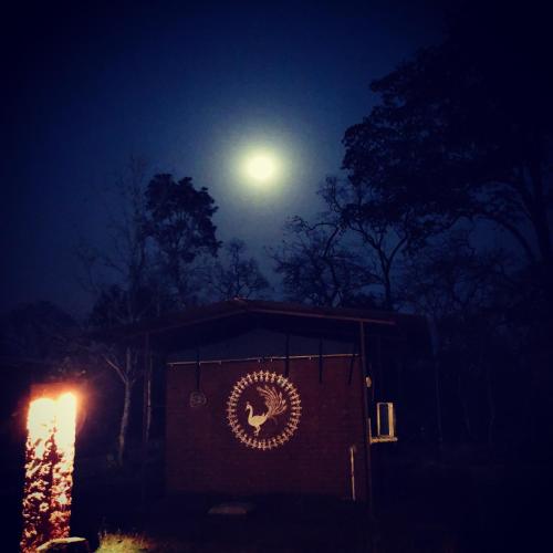 Gambar di galeri bagi Pench Tiger Camp di Nagpur