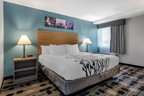 a hotel room with a large bed and a window at Sleep Inn Terre Haute University Area in Terre Haute